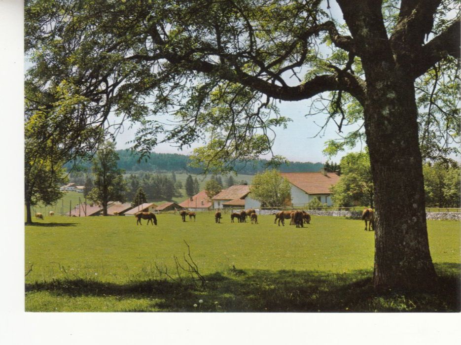 Cartoline postali: Jura ca. 1970 – Usato da Bürglen TG venduto da StampGraf