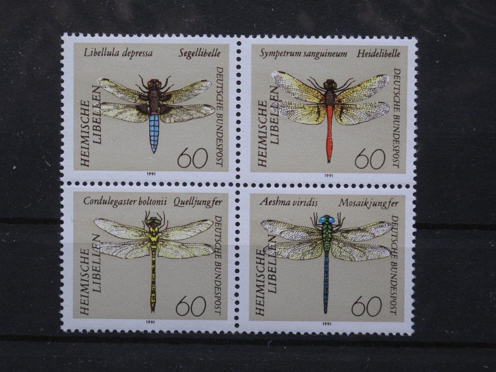 Alle Briefmarken: BRD 1991 Libellen ** – Gebraucht aus Wil SG von fva01