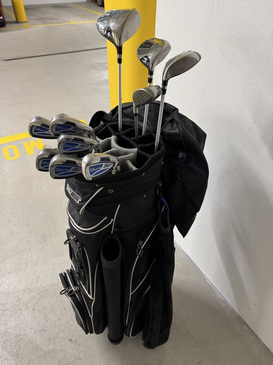 Mazze & Set: Golf Clubs Cobra – Usato da Walchwil venduto da eve_5bx9