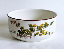 Schüssel*Villeroy & Boch Botanica*****Vitro-Porcelaine******