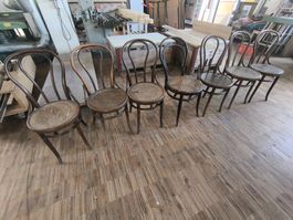 Thonet Stühle aus gebogenem Holz