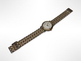 M-WATCH MONDAINE Armbanduhr