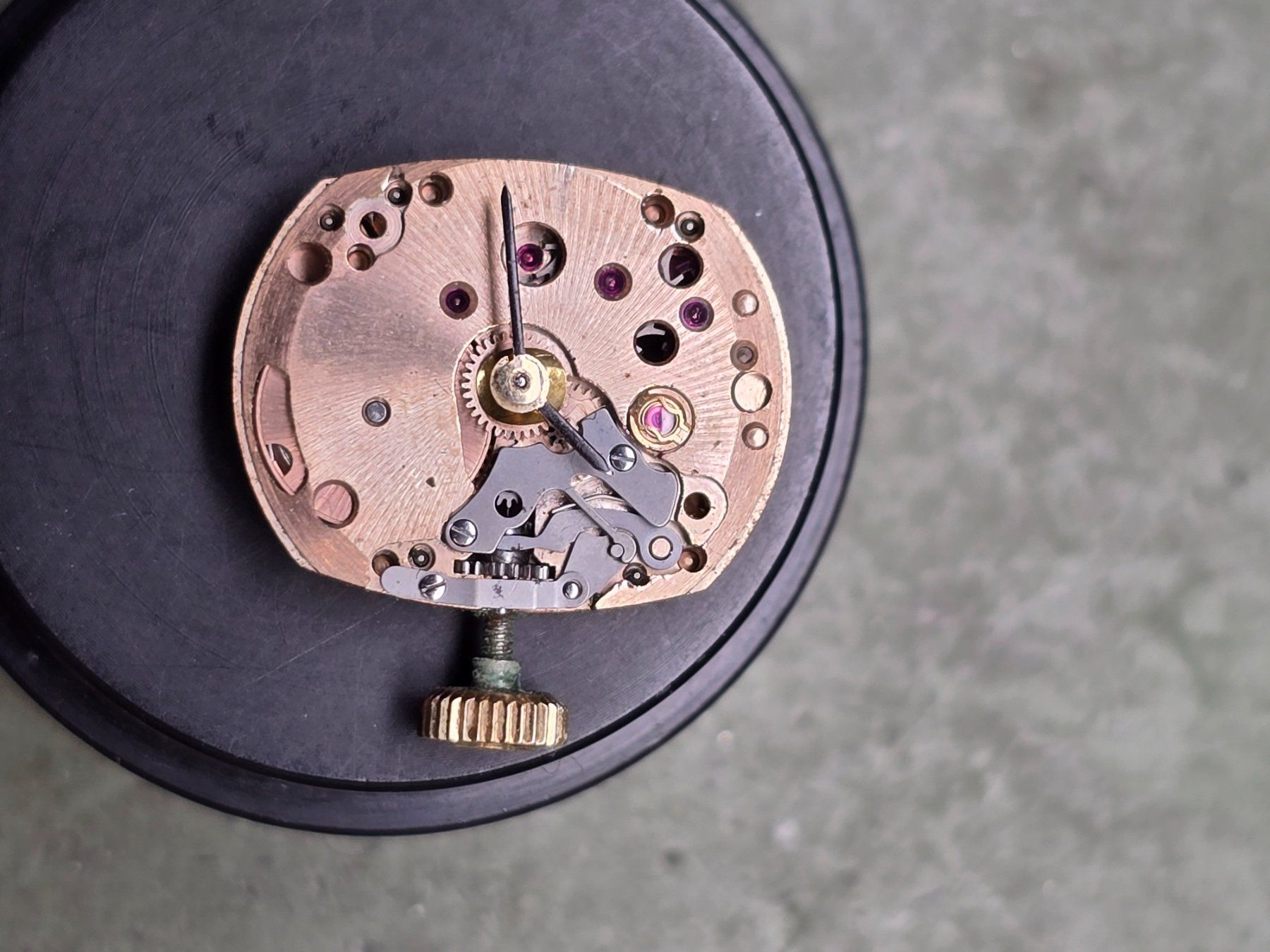 Omega Orologi: Mouvement Omega 484 – Usato da Tramelan venduto da Nirdan 1