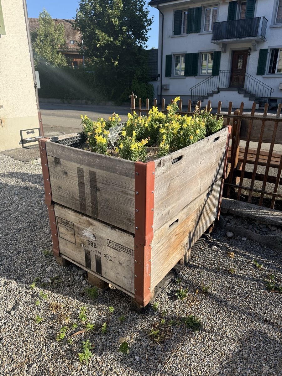 Blumentöpfe: Hochbeet - Palettenrahmen – Gebraucht aus Volketswil von Chiva01