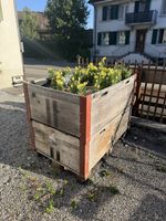 Hochbeet - Palettenrahmen 