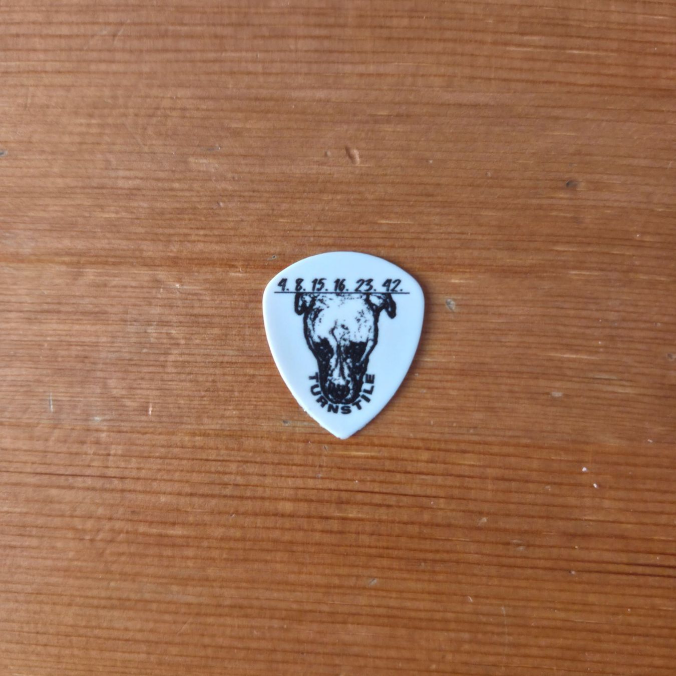 Strumenti musicali: Turnstile Lost Plektrum Pick – Usato da Zürich venduto da Wickeddude