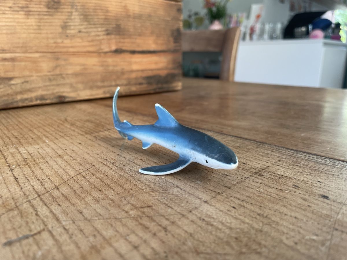 Schleich Figurines: Schleich Hai – D'occasion à Bonstetten par soleillle
