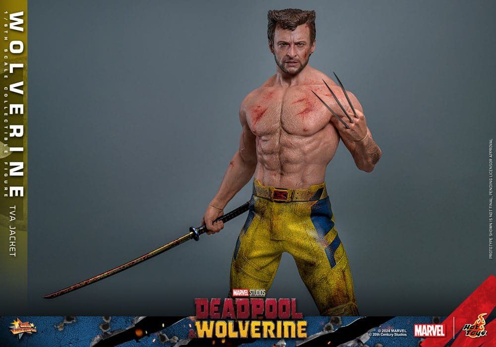 Hot Toys Statuette: Hot toys Wolverine (TVA Jacket Version) – Nuovo (secondo la descrizione) da Aarau Rohr venduto da tobinogio 4