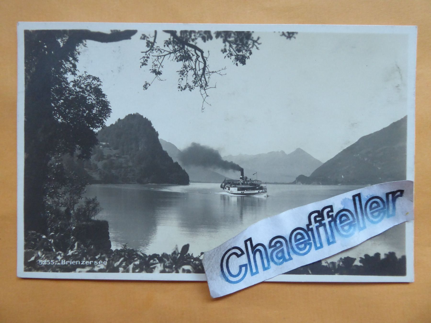 Cartoline postali: 1928   5255 Brienzersee – Usato da Zürich venduto da Chaeffeler