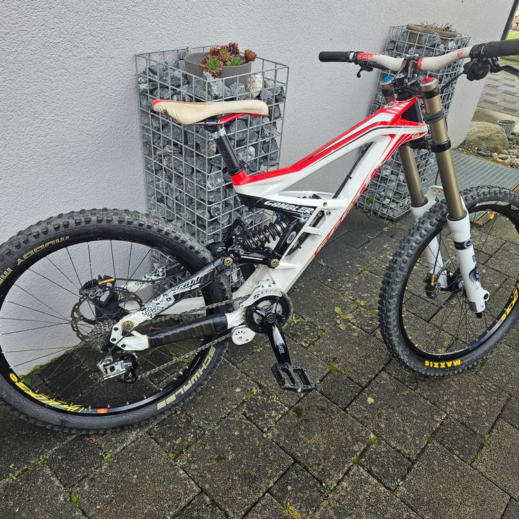 Scott gambler dh10 online
