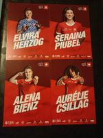 SFV Fussball-Mix 1 - 4 Autogrammkarten - Set