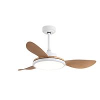 Ventilateur de plafond avec lumière