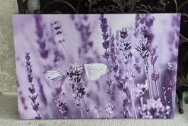 Bild Lavendel mit Schmetterlingen 40x60cm guter Zustand