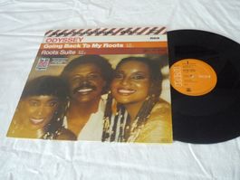 12" Vinyl 80er rarität - Odyssey - going back to my roots