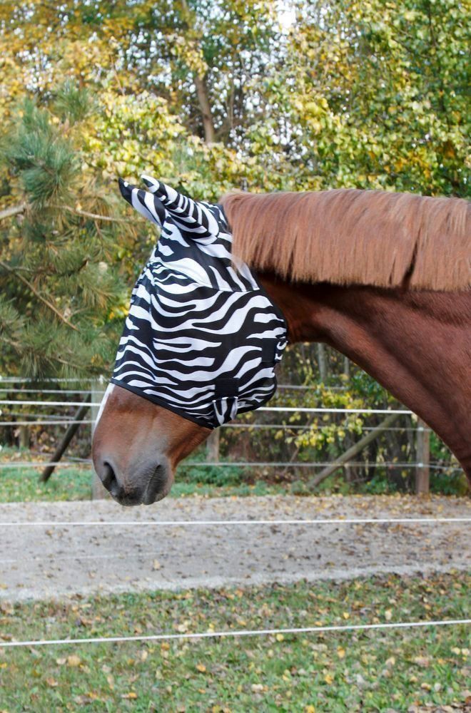Sonstiges Tierzubehör: Pferde-Fliegenschutzmaske im  Zebralook – Neu und originalverpackt aus St. Gallen von schnaeppchen-preise 1