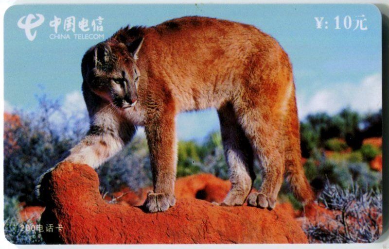 Schede telefoniche: Telefonkarte "Puma" – Usato da Basel venduto da Butsch5