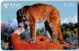 Telefonkarte "Puma"