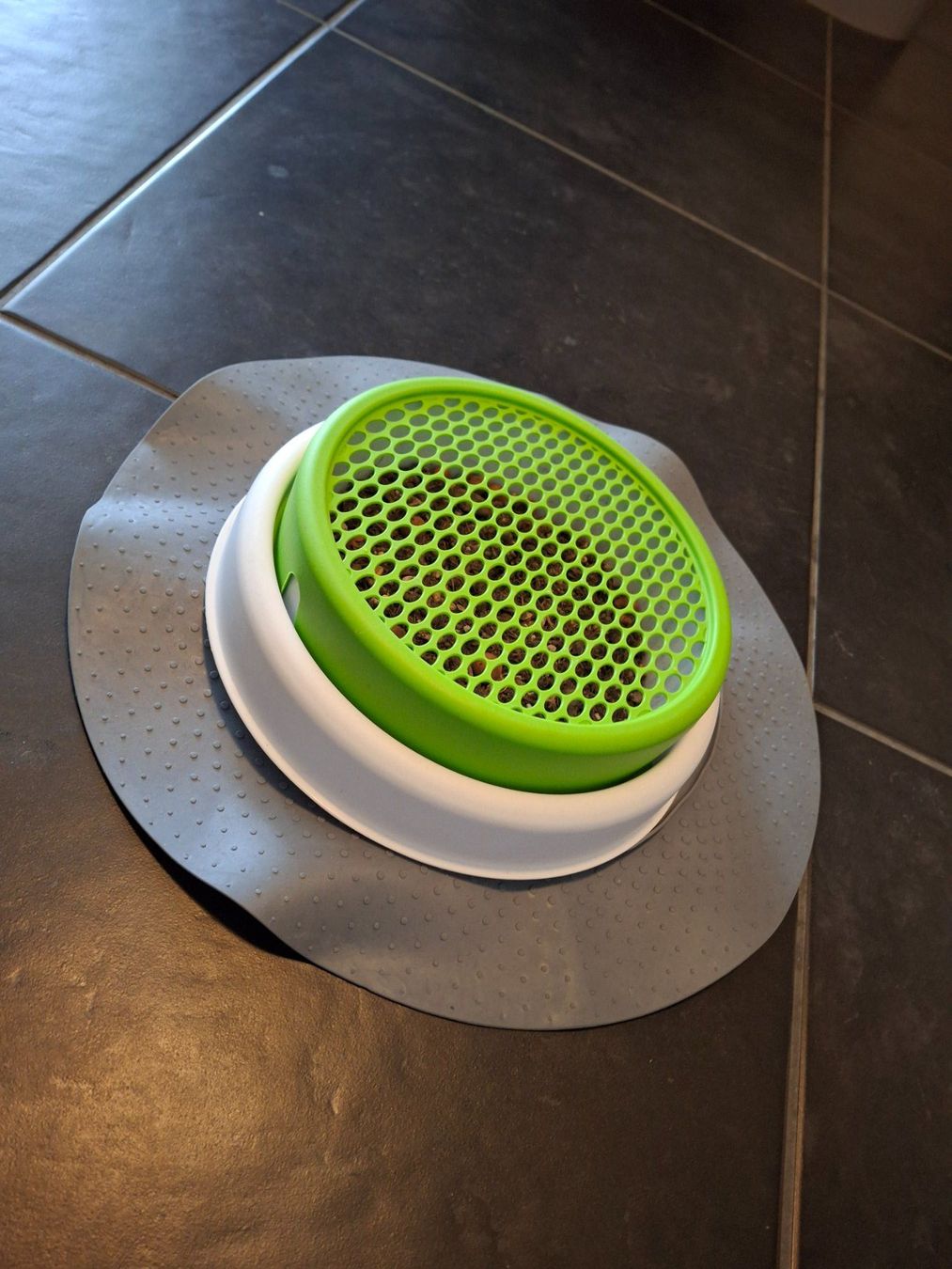 Mangimi: Catit Senses 2.0 Grass Planter – Usato da Walterswil SO venduto da peiper2