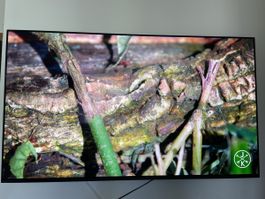 Sony BRAVIA XR-65A80L 65” OLED 4K – sehr guter Zustand