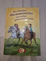 Die schönsten Pferdegeschichten zum ersten gemeinsamen Lesen