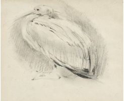 Rembrandt Bugatti Storch Kohle Papier 15 x 18 cm