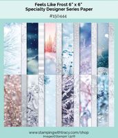 Stampin up Designerpapier "Winterzauber"