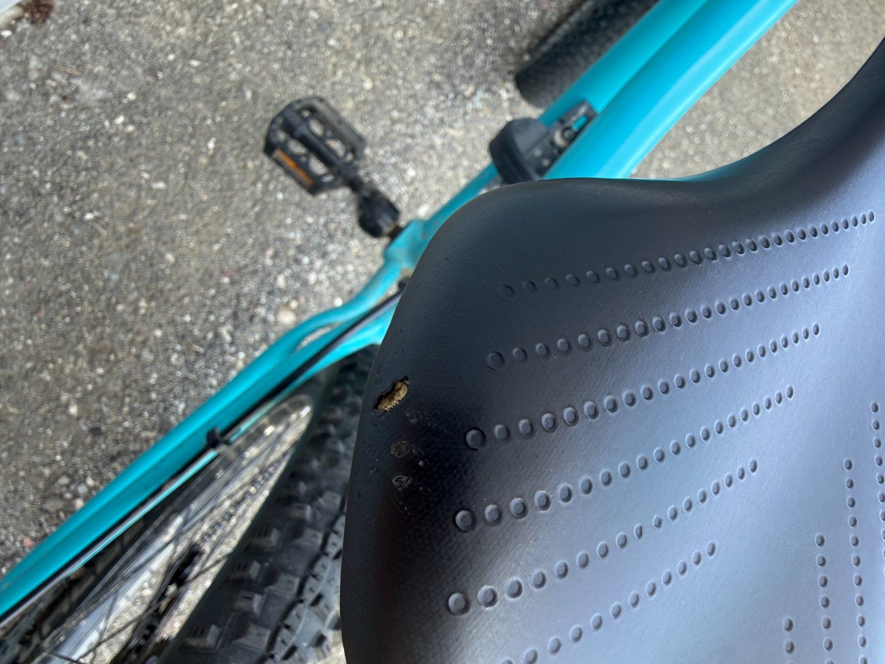 Scott Biciclette: SCOTT Scale 24 Zoll Disc Mountainbike – Usato da Frenkendorf venduto da mcbasel 3