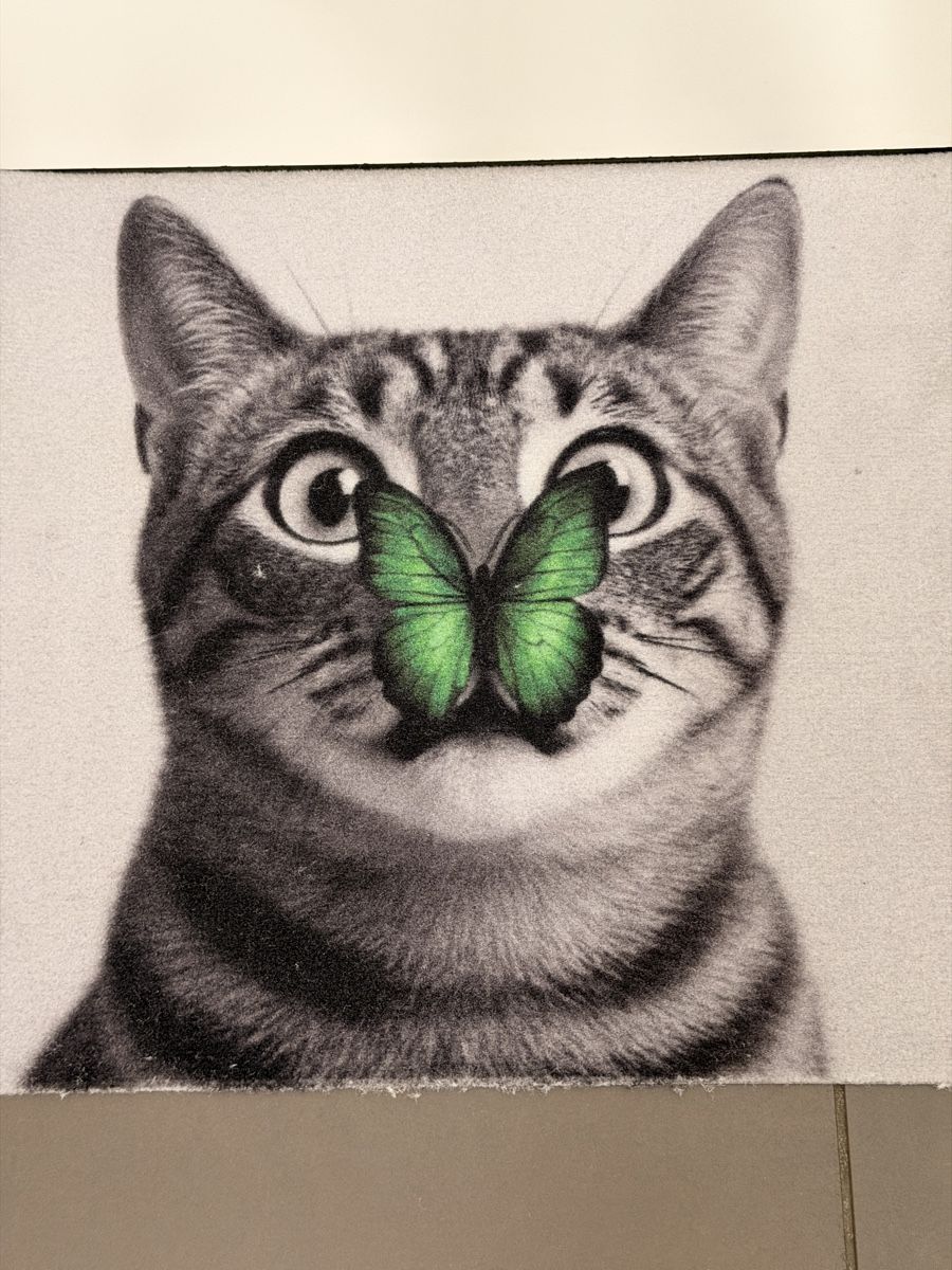 Tappeti: Fussmatte Katze, Neu – Nuovo (secondo la descrizione) da Schaffhausen venduto da wolker217