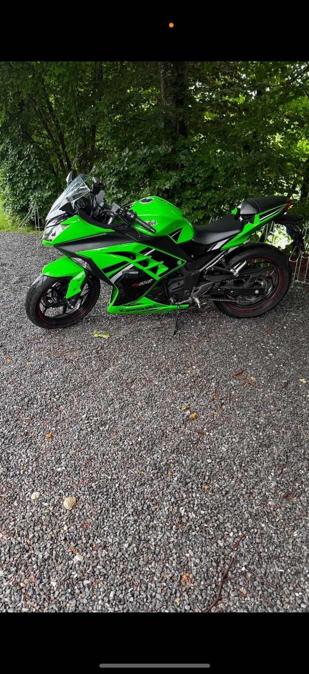 Kawasaki Strasse: Kawasaki Ninja 300 Special Edition mit ABS – Gebraucht aus Hauptwil von aromashop