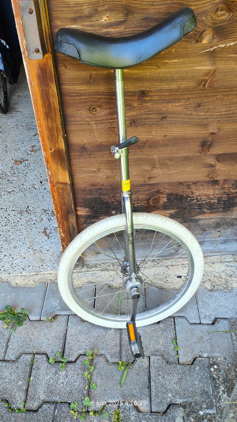 Velos: Monocycle 20" – Gebraucht aus moutier von davidtr