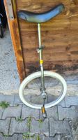 Monocycle 20"