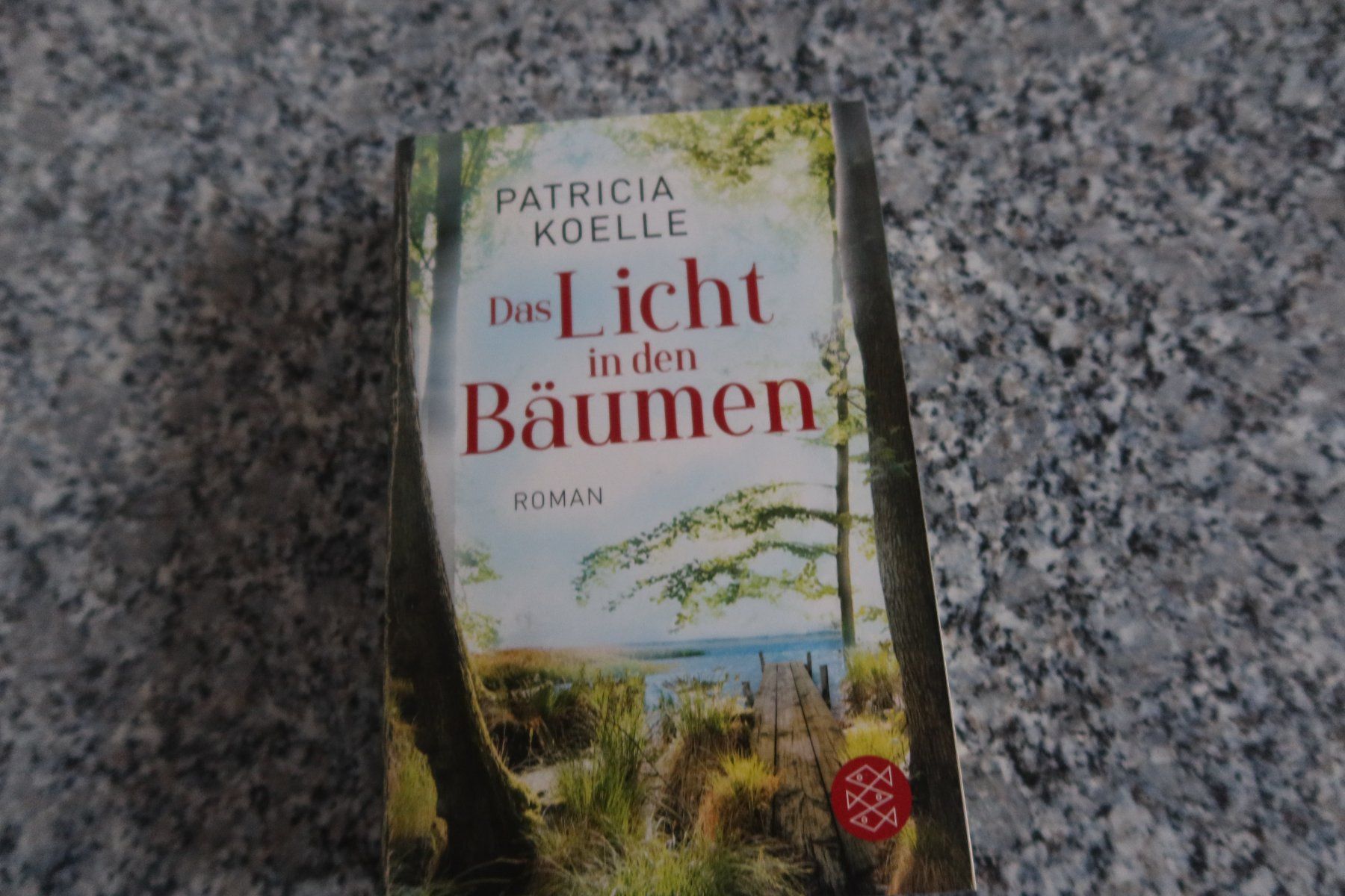 Bücher: Das Licht in den Bäumen – Gebraucht aus Täuffelen von Cindybussy