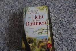 Das Licht in den Bäumen Pamela Koelle