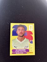 Panini NZL 2