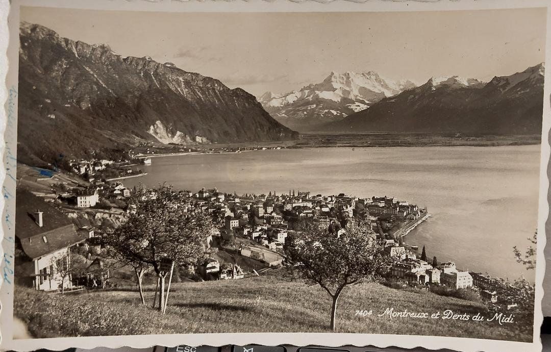 Cartoline postali: MONTREUX et Dents du Midi – Usato da Delémont venduto da Domdom1