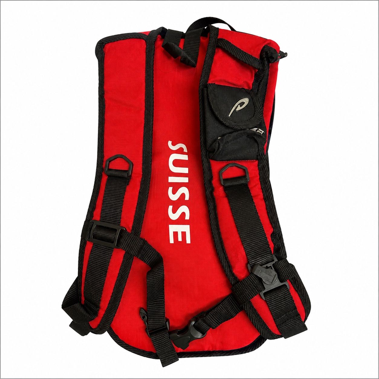 Rucksäcke: Panther Suisse Rucksack – Neu (gemäss Beschreibung) aus Aarberg von LovelyThings_ 1