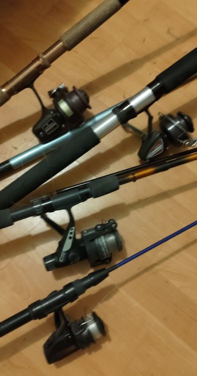 Fischer rute Angel usw spinner (Gebraucht) in Unterägeri für CHF 70 ...
