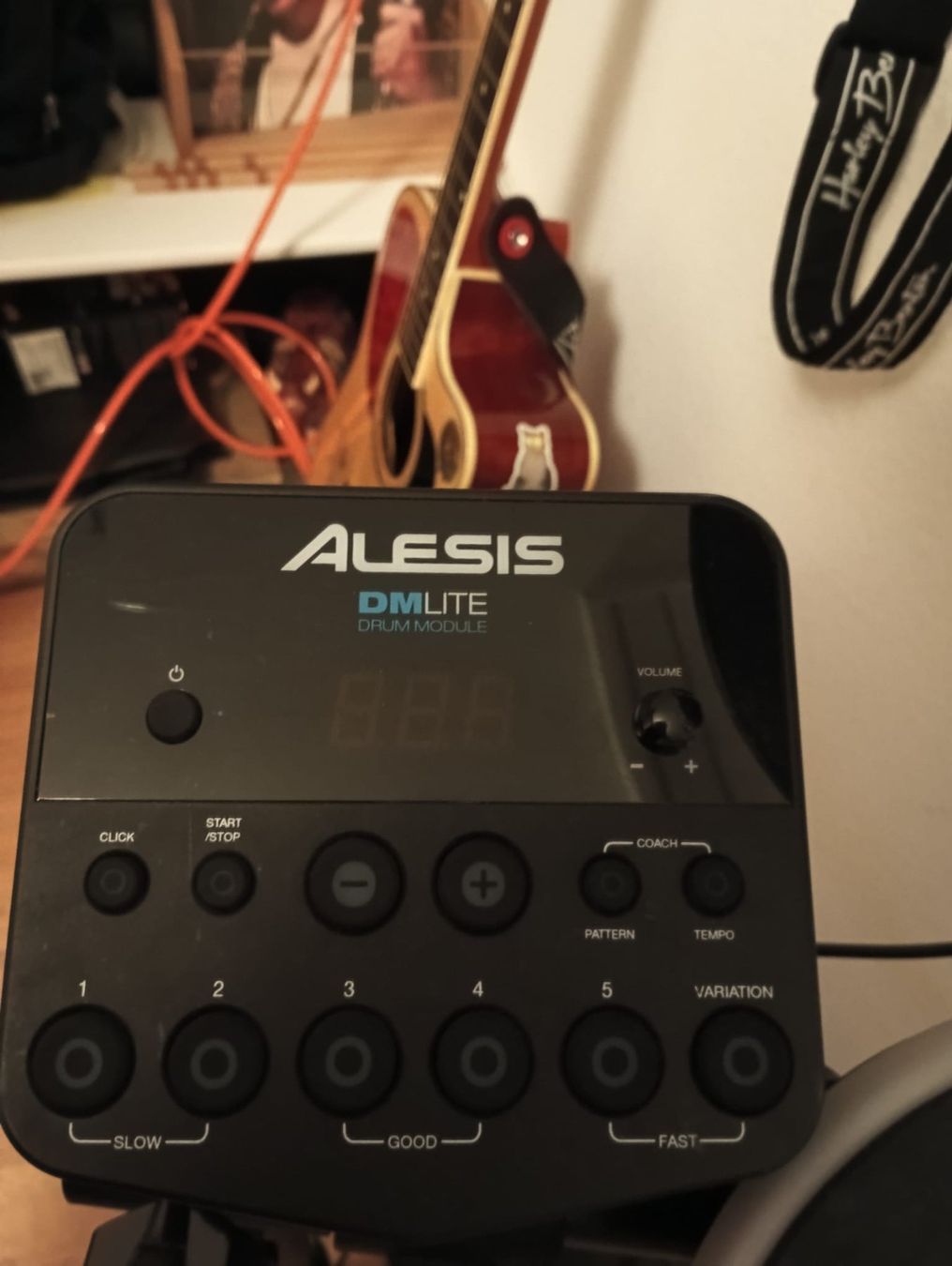 Alesis Musikinstrumente: Alesis DM – Gebraucht aus Dübendorf von elc_jnr6 2