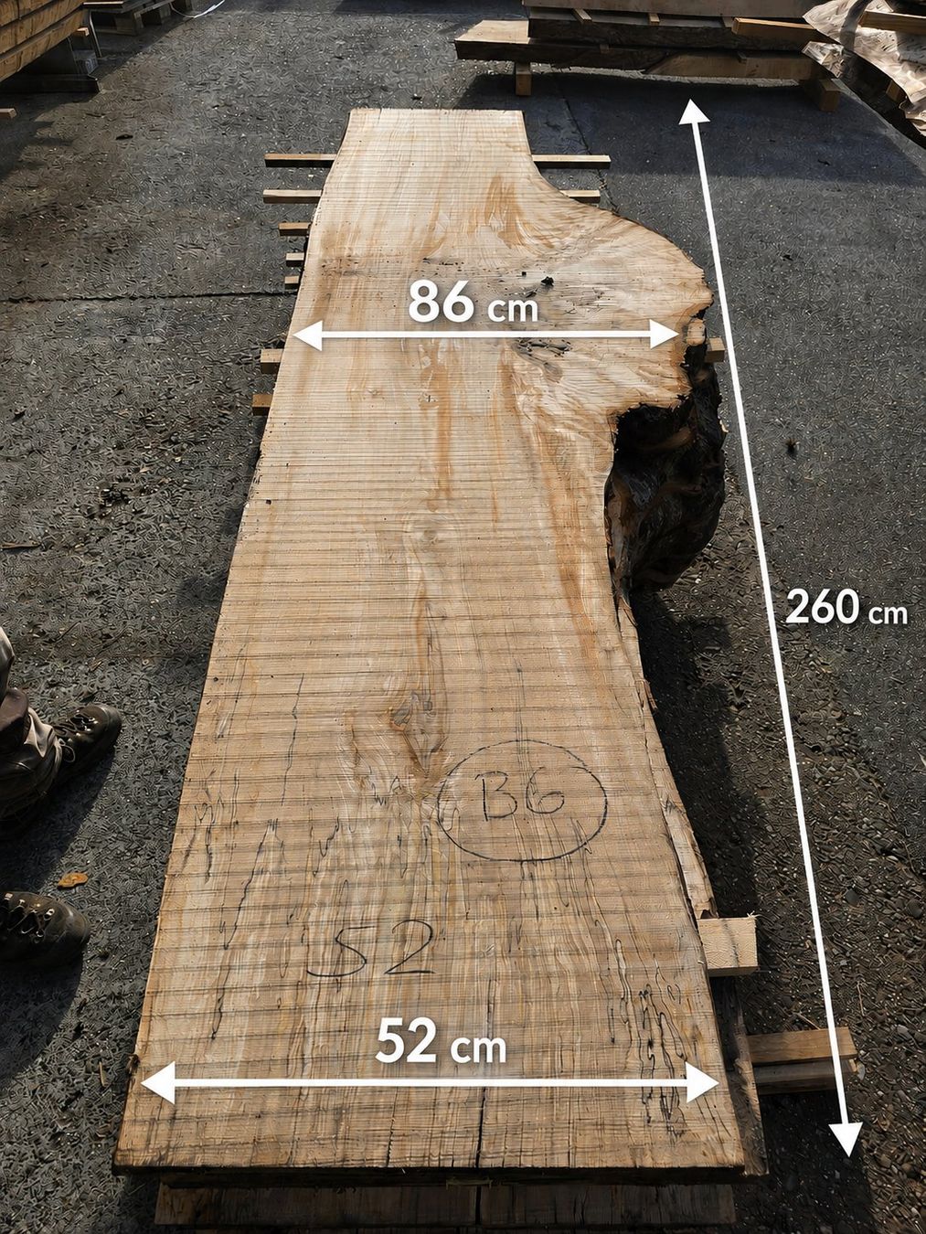 Articoli in legno: Buchenknollen Brett – Nuovo (secondo la descrizione) da Ramsei venduto da Waelchris