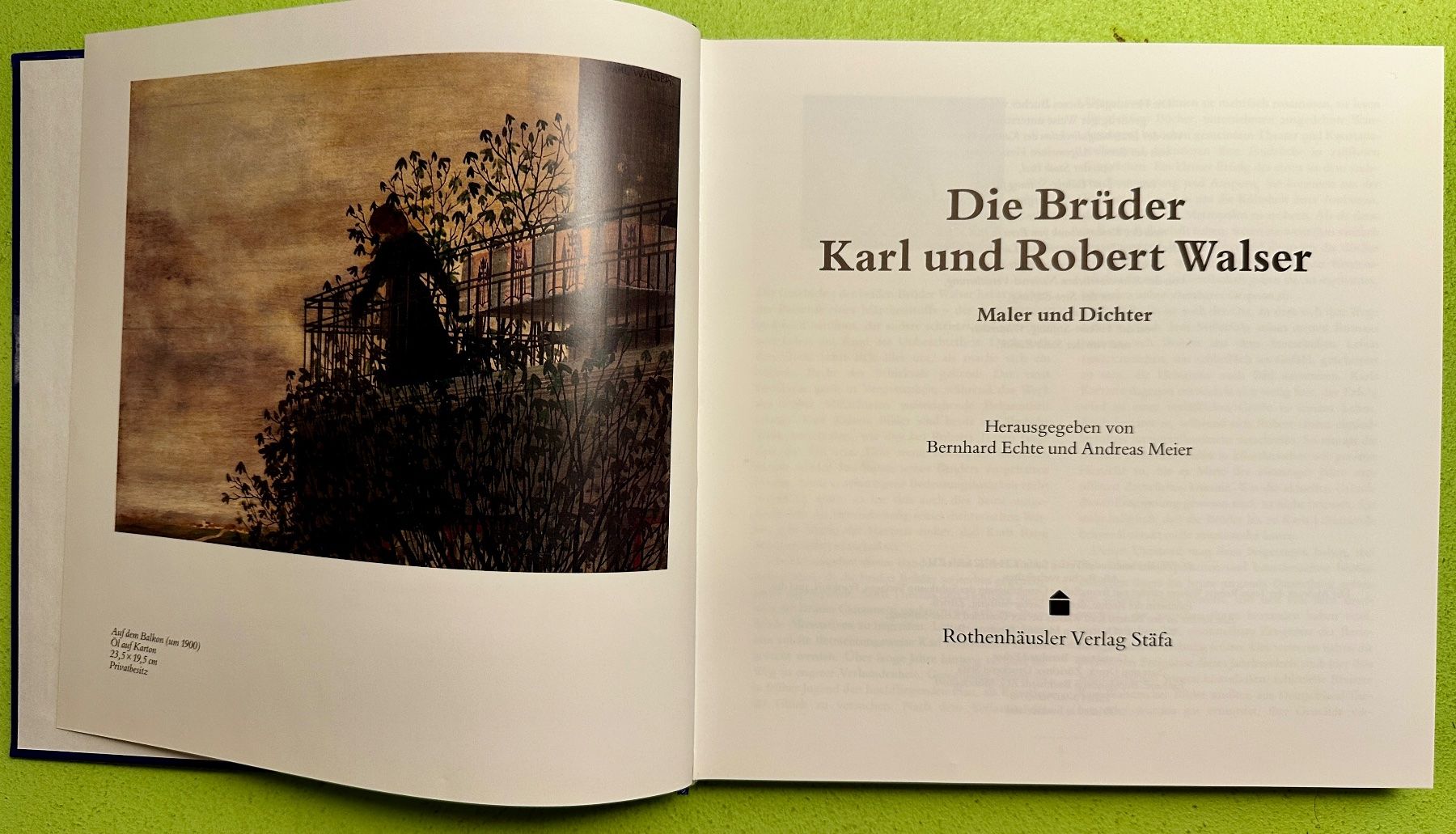 Libri: B. Echte, A. Meier: Die Brüder Karl und Robert Walser – Usato da Zürich venduto da allp 1