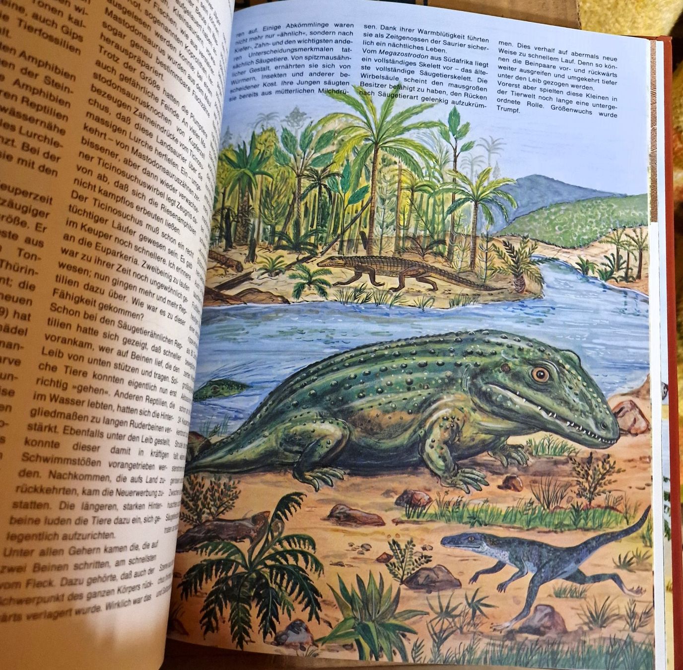 Livres: Dinosaurier und andere Tiere der Urzeit – D'occasion à Winterthur par Versus0 6