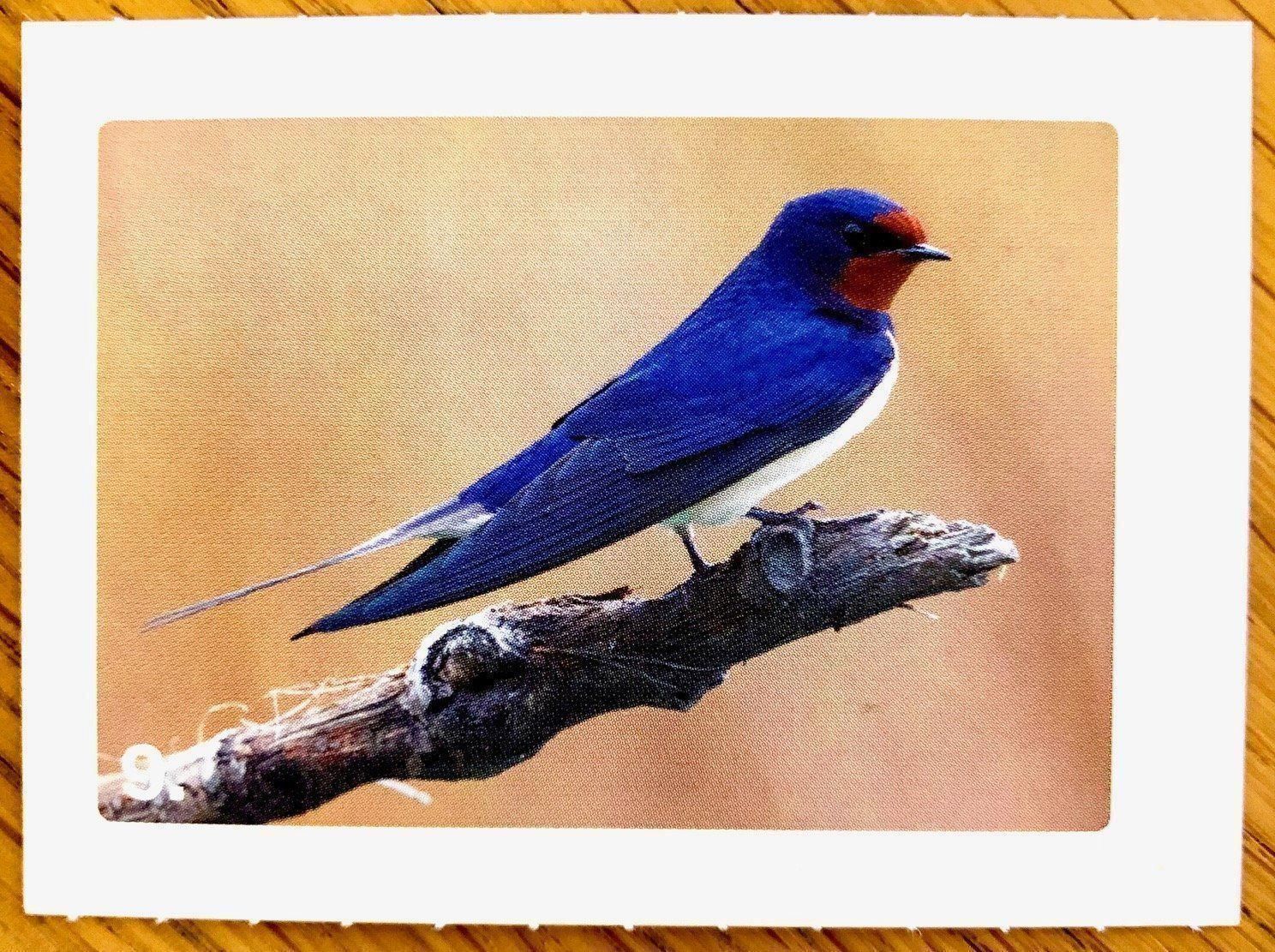 Migros Carte collezionabili: Migros Nature Detectives - Bild Nr. 9 – Nuovo (secondo la descrizione) da Oberrieden venduto da Zimmerberg10