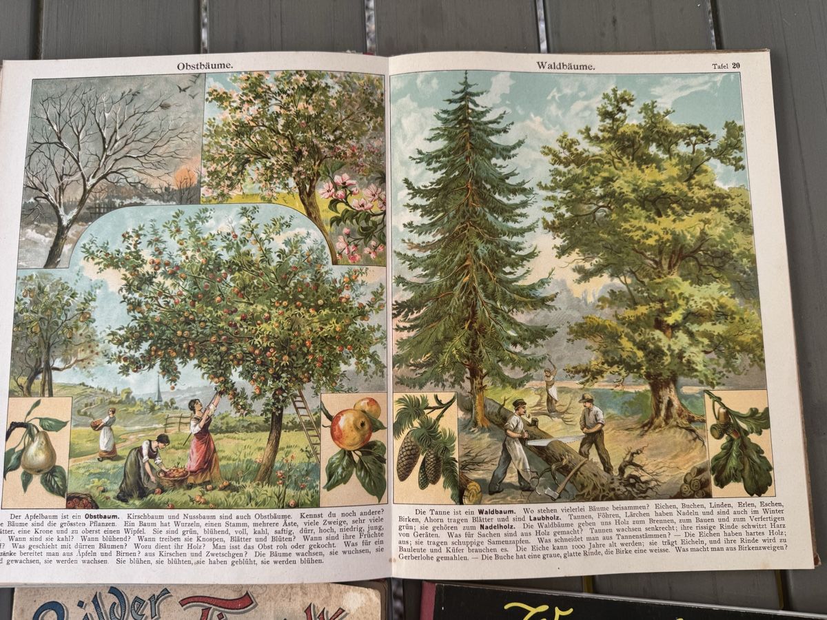 Libri: 6 antike Kinderbücher  – Usato da Pfäffikon ZH venduto da lenaviktoria 1