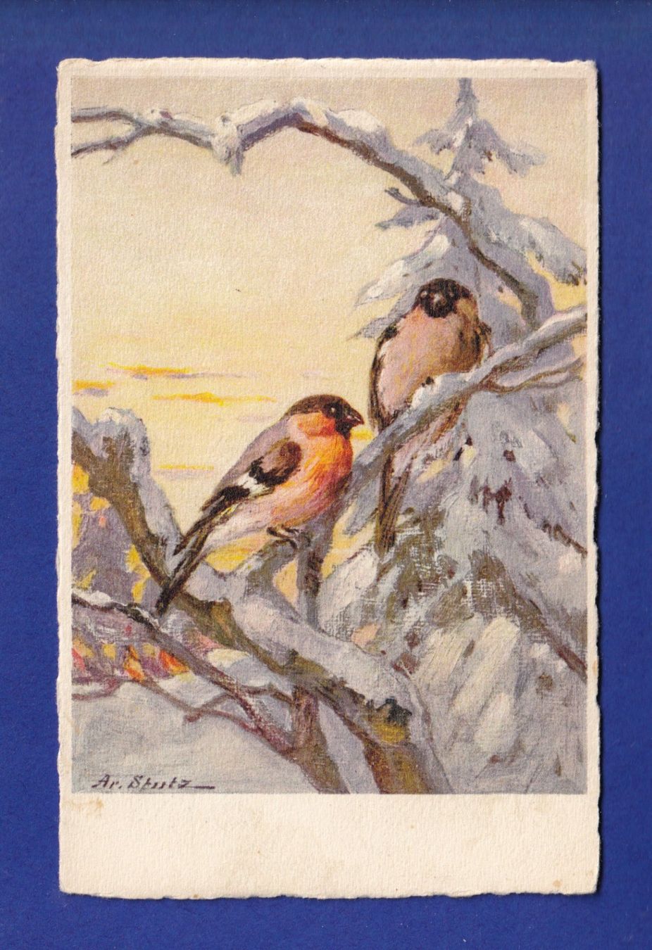 Ansichtskarten: OISEAU - Rouges-Gorges – Gebraucht aus Pully von nicecards-shop