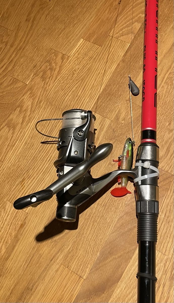 Angelrute 3.5m mit Rolle (Pro-Pike) (Gebraucht) in Bern fr CHF 50  nur  Abholung auf Ricardo kaufen