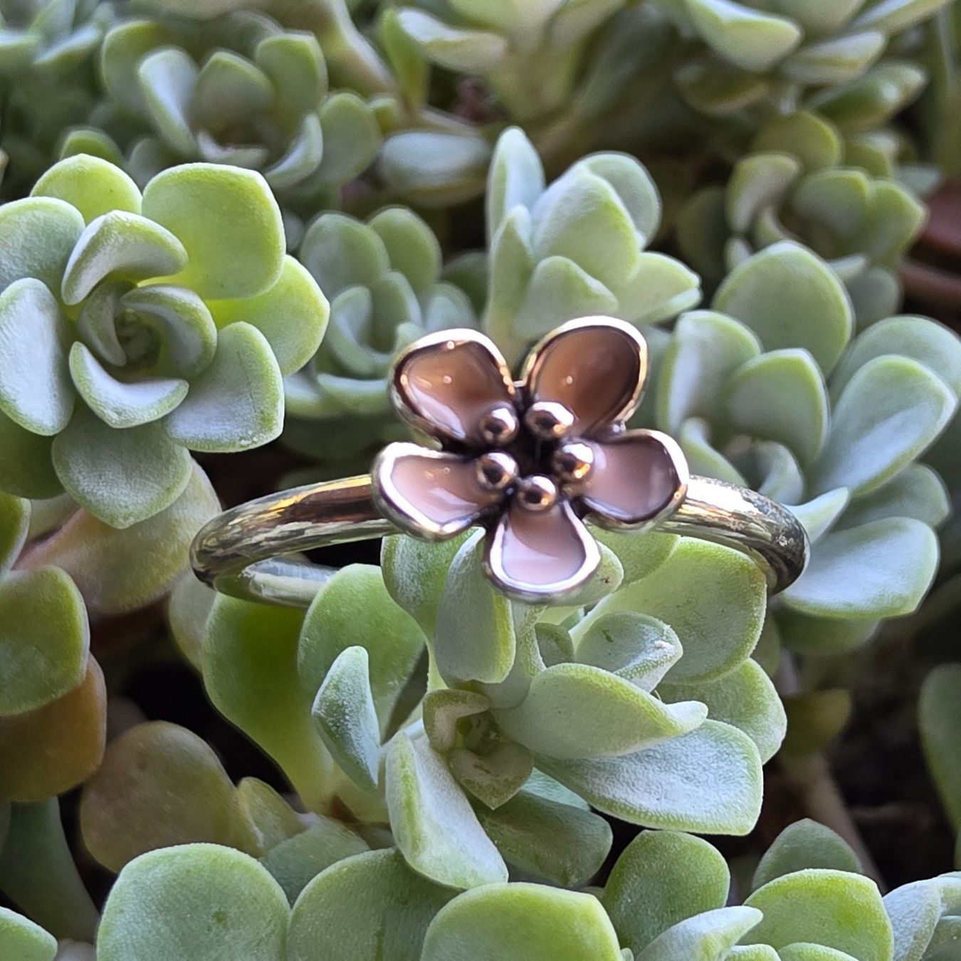 Pandora Anelli: 🐸 PANDORA 925 SILBER RING 54 – Nuovo (secondo la descrizione) da Môtier (Vully) venduto da Frogs 3