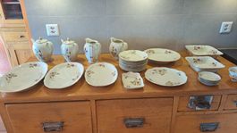 Vaisselle Rosenthal Moosrose