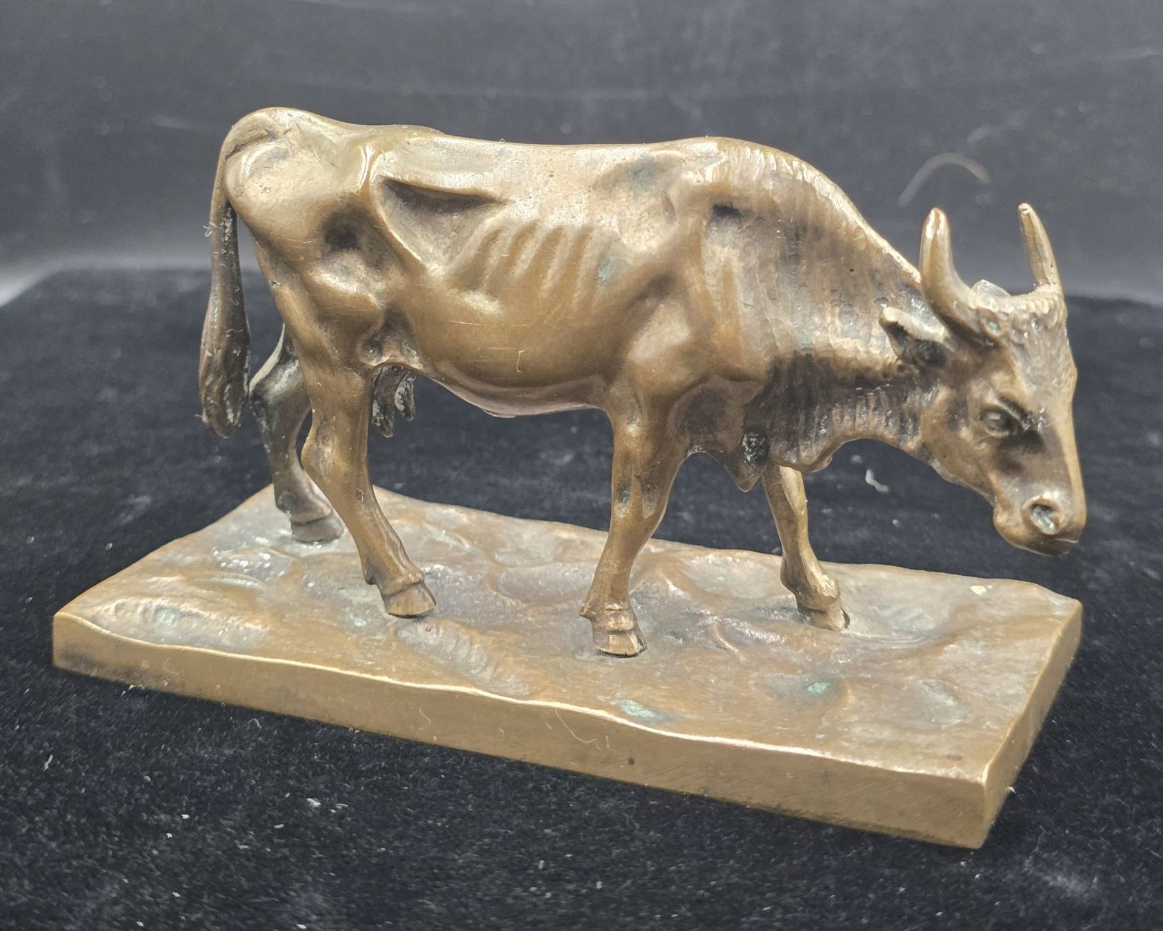 Sculture & Statue: Bronze Skulptur Stier – Usato da Rorschacherberg venduto da snOOpydOg11 9
