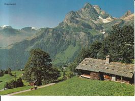 Braunwald 1977