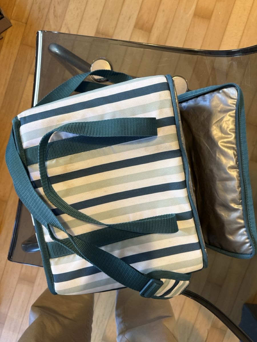 Taschen: Cooler bag – Gebraucht aus Zürich von pet_8zjv 1